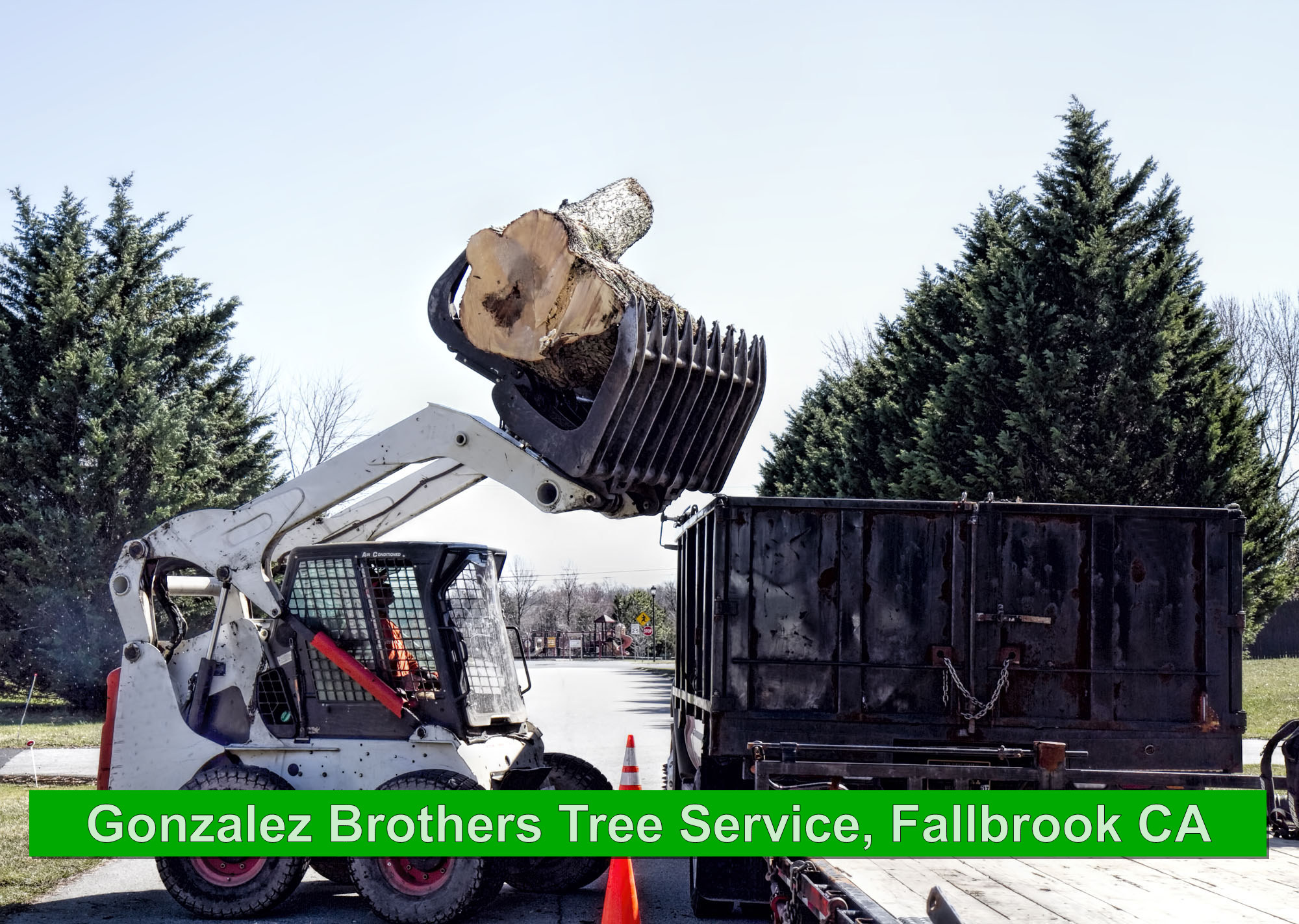 Tree Removal Gonzalez Brothers Tree Triming Fallbrook CA